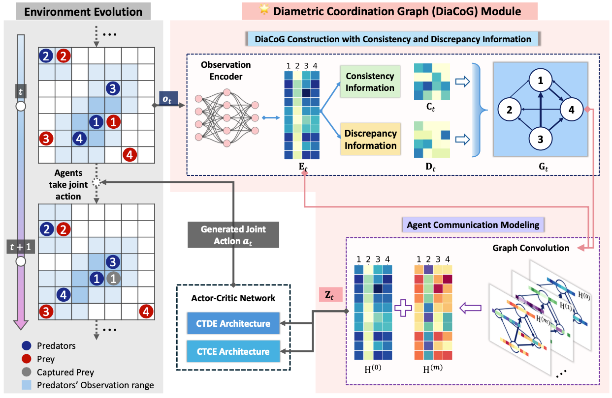 Probing Diametric Coordination Graphs for Multi-Agent Reinforcement Learning